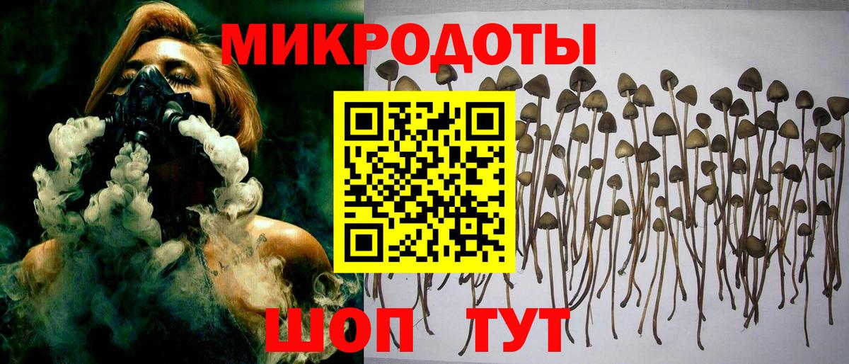 Холмск  Галлюциногенные грибы MAGIC MUSHROOMS  Вход с VPN 