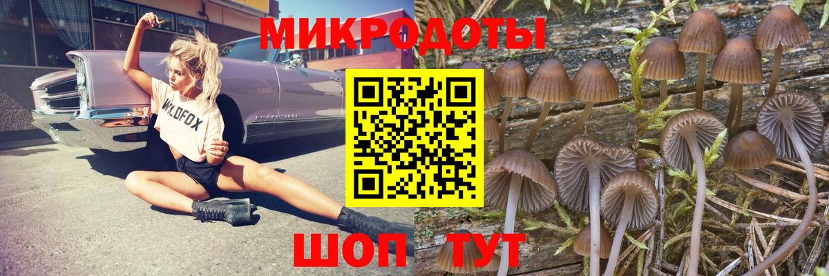 Галлюциногенные грибы Cubensis Холмск